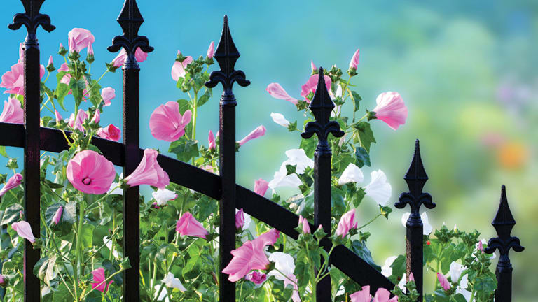 Options for Traditional Metal Fencing