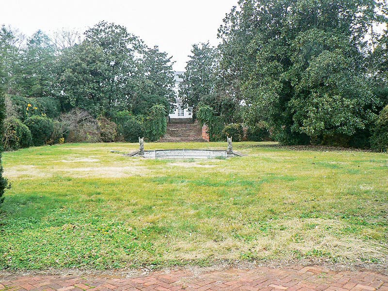 garden-pool-1-before.jpg