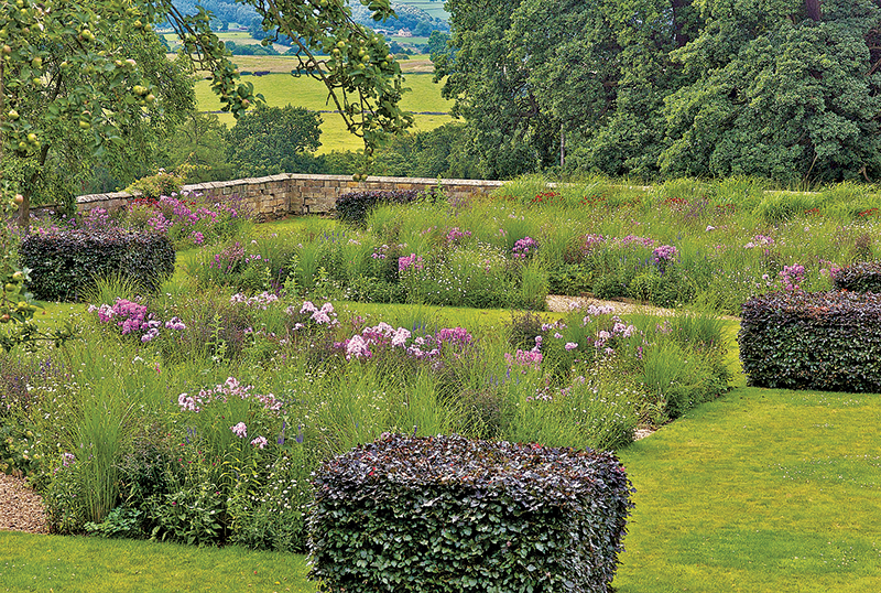 bowling_green_perennials_cubed_beech_william_collinsonamgd.png