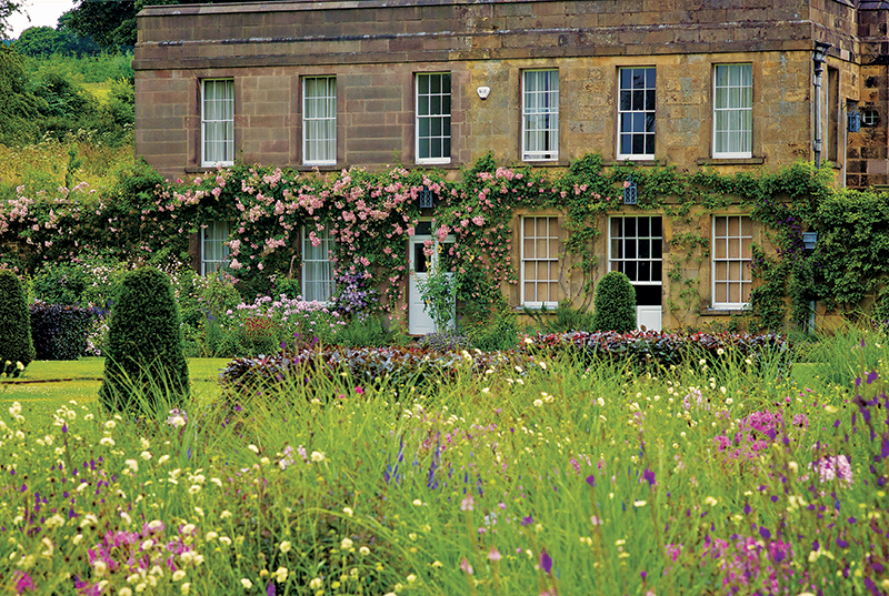 bowling_green_perennials_roses_william_collinsonamgd.png