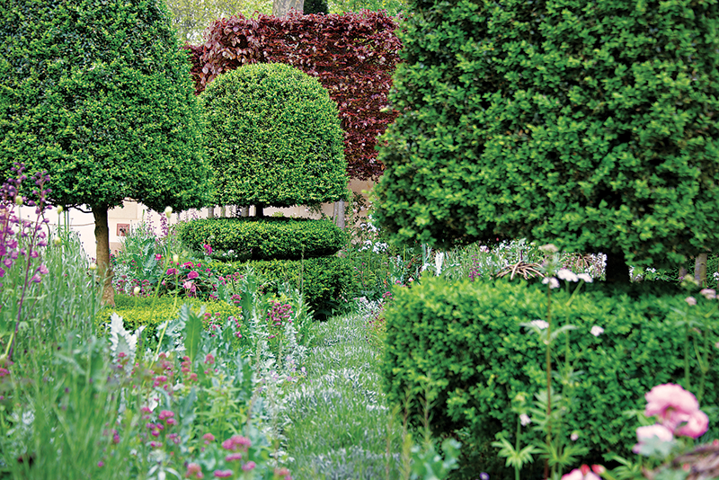 topiary_soft_underplanting_britt_willoughby_dyeramgd.png