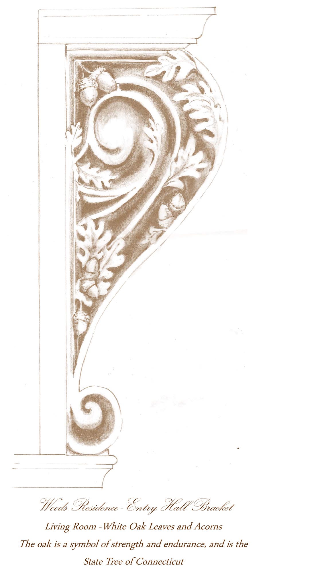 woods-brackets-presentation-1.jpg
