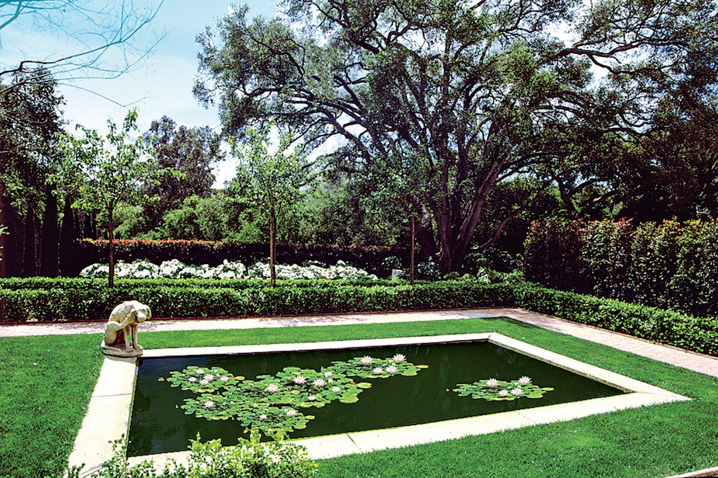 michael-burch---09-new-lilly-pond-2.jpg
