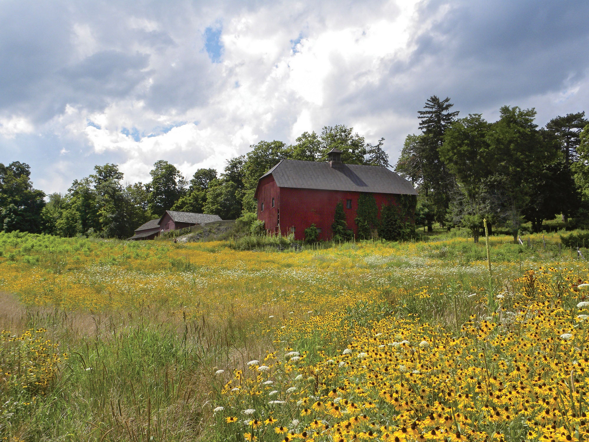 olana_nelson-byrd-woltz-landscape-architects.jpg