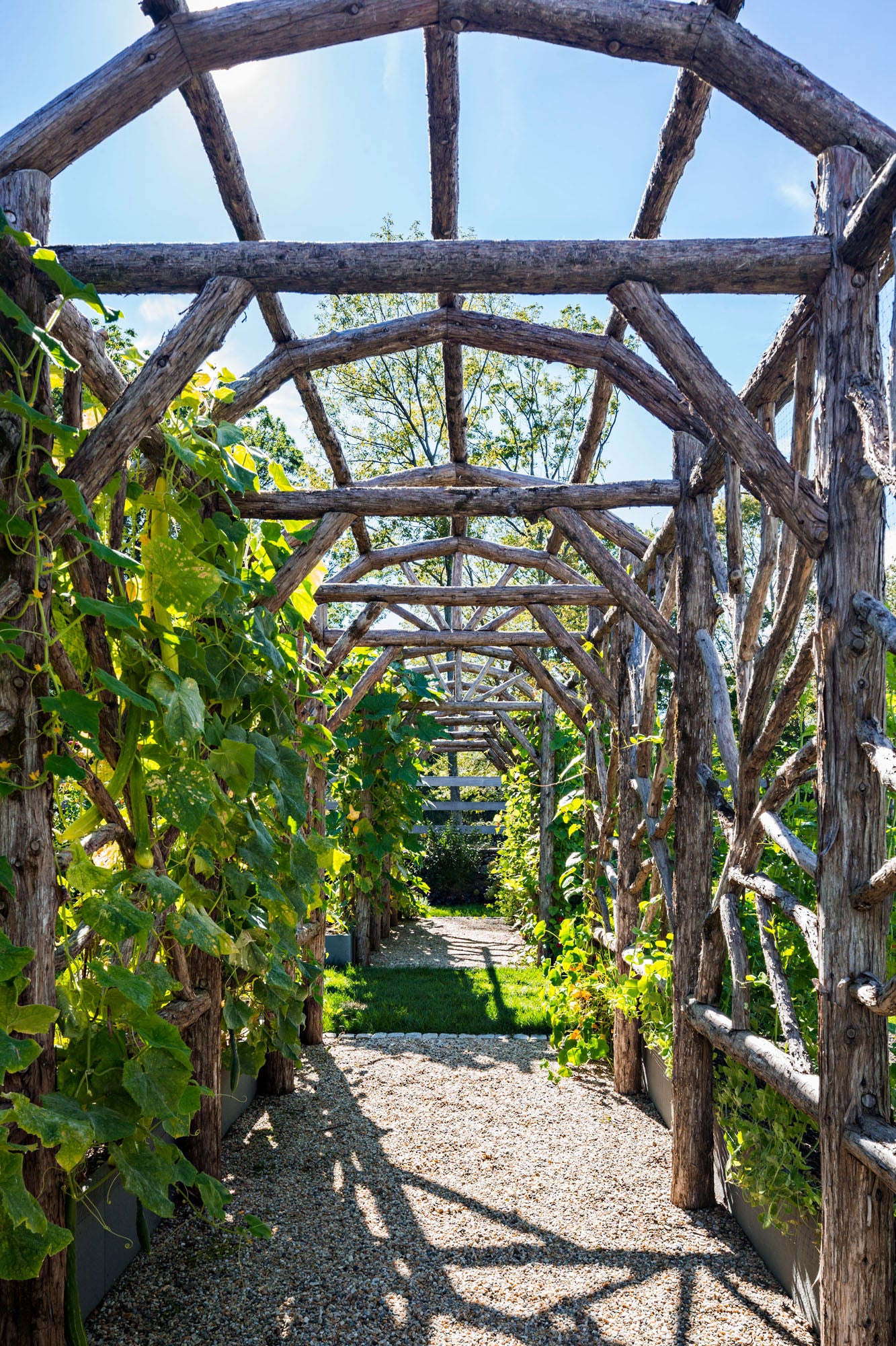 garden-arbor.jpg