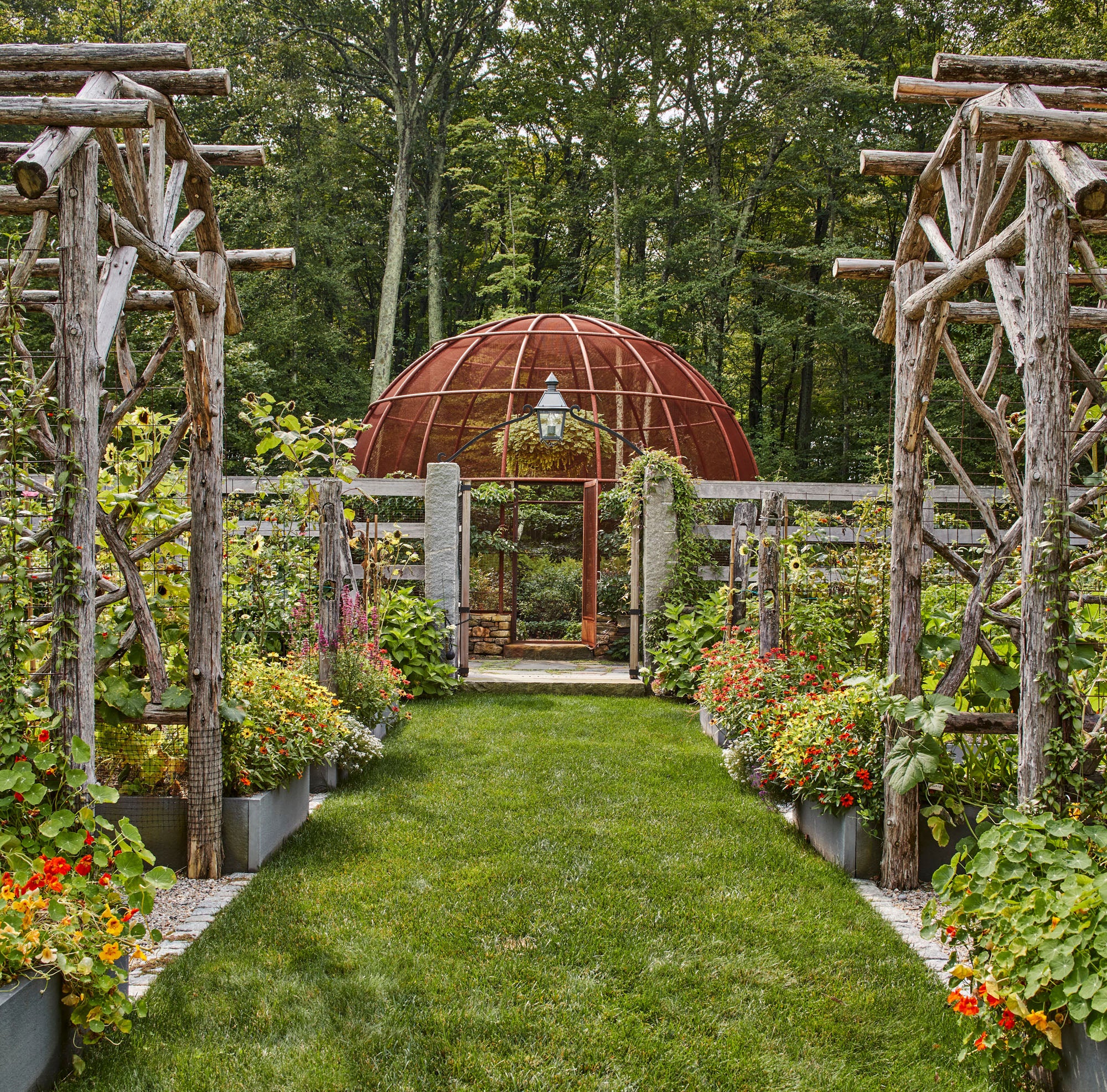 garden-toward-berry-bowl.jpg