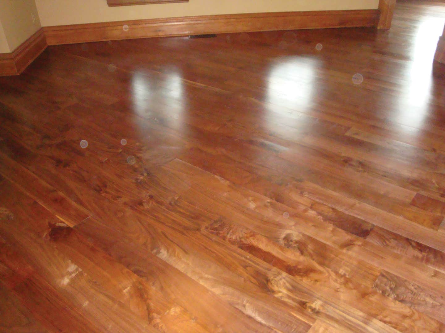 carlson-barnwood-dsc05605.jpg