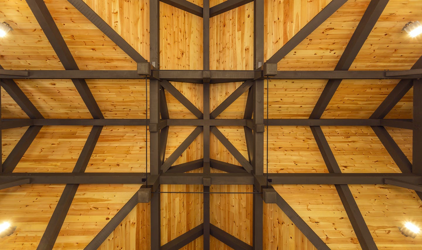 woodhouse-wtf_blue-star-ranch-round-pen-ceiling.jpg