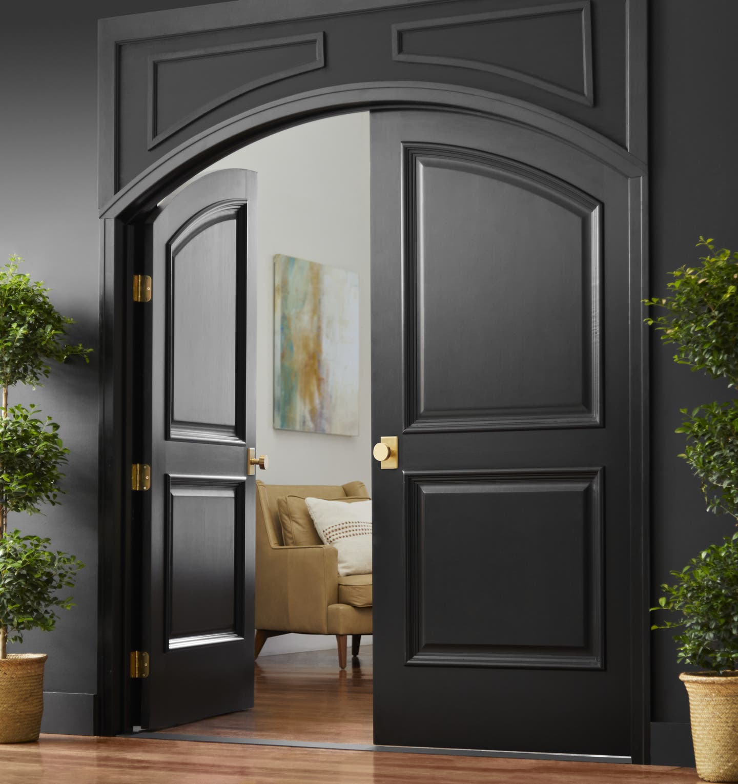 aa-4010-36x72-maple-veneer-jet-black-2-panel-radius-top-02-ib-jpg.jpg