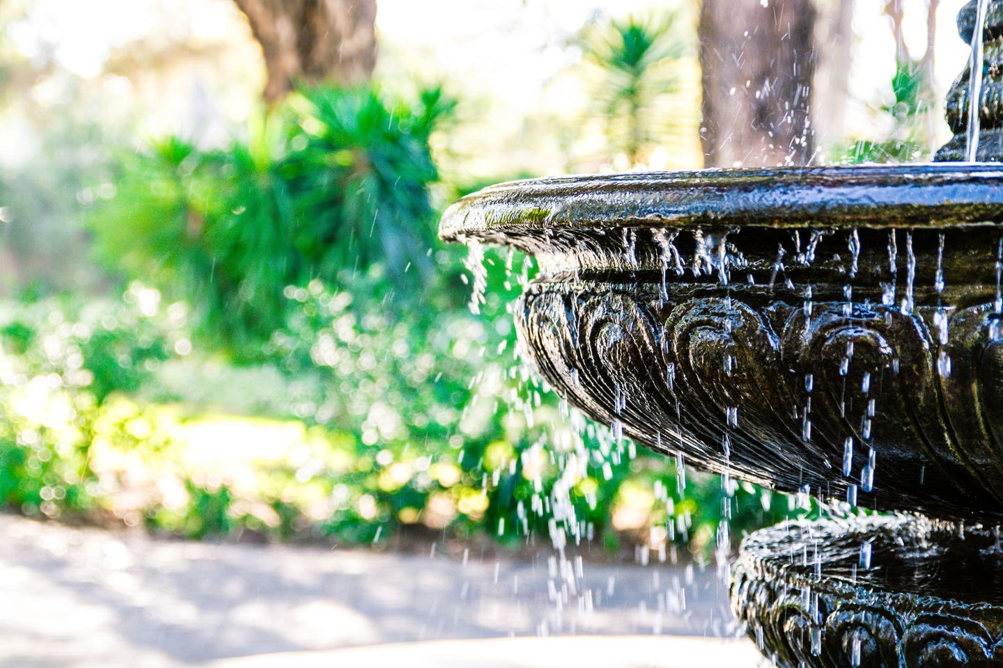 Landscape & Garden Specialties Image